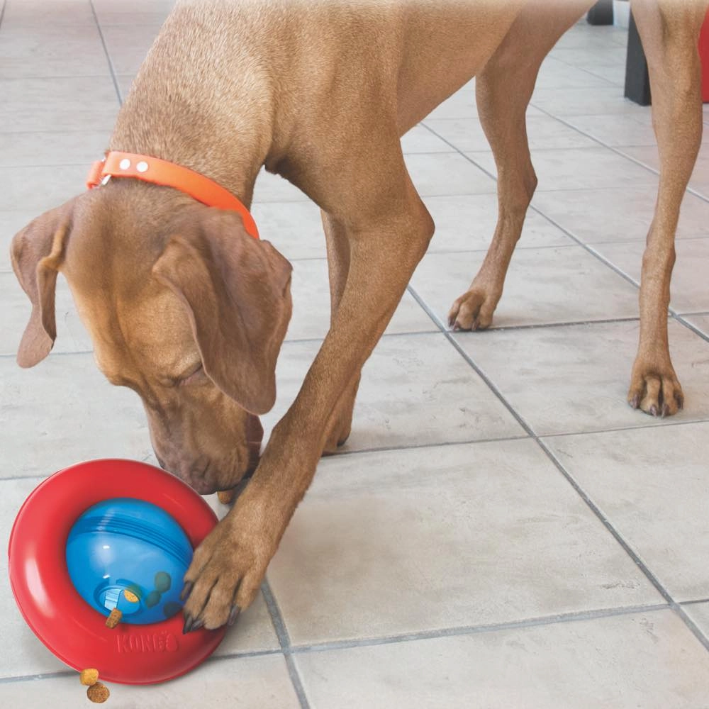 Kong Gyro Interactive Dog Toy