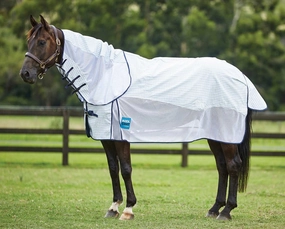 Kool Coat Airstream with Hidden Surcingle III Detach-A-Neck Horse Fly Sheet