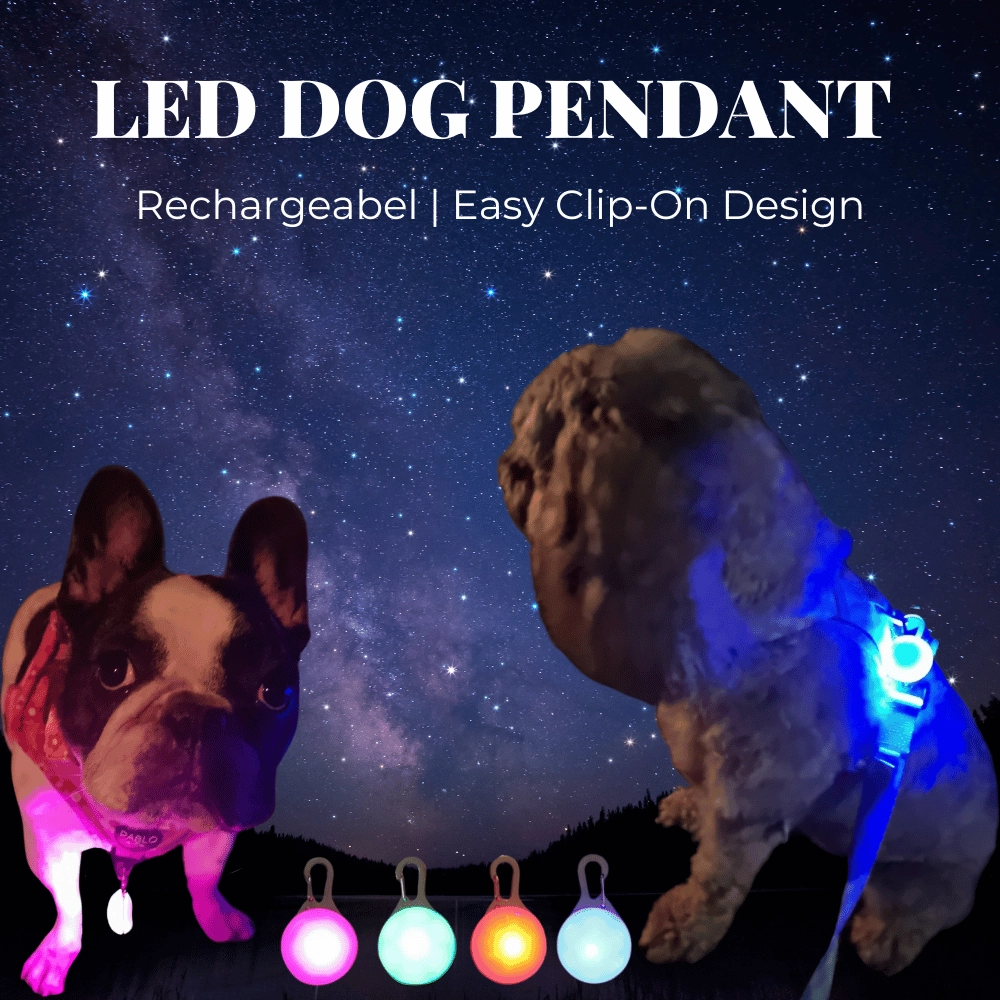 LED Dog Pendant Rechargeable