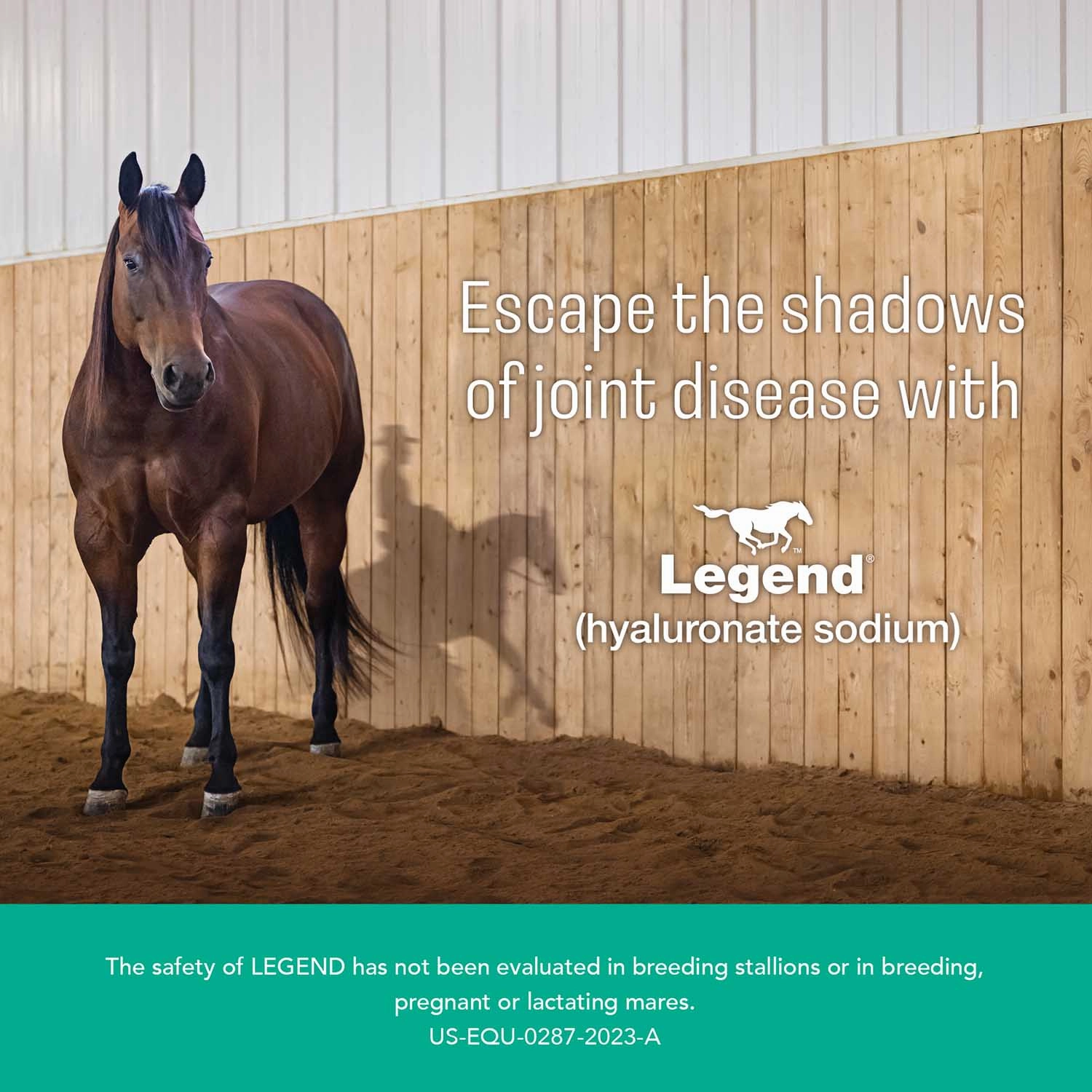 Legend (hyaluronate sodium) Injectable Solution for Horses