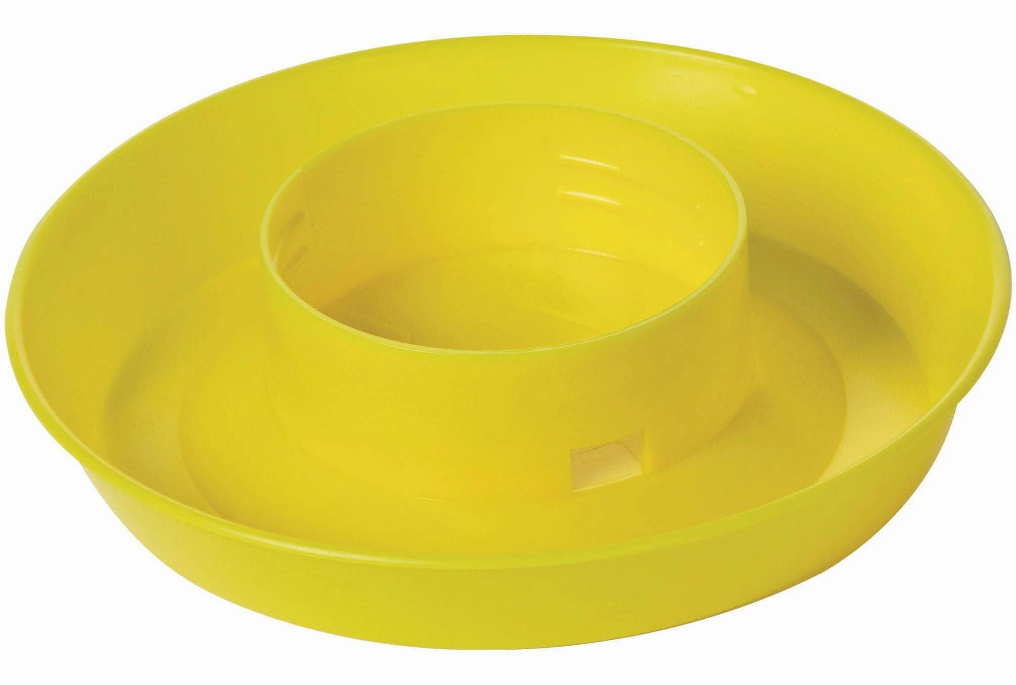 Little Giant Color Chick Waterer Base, Quart