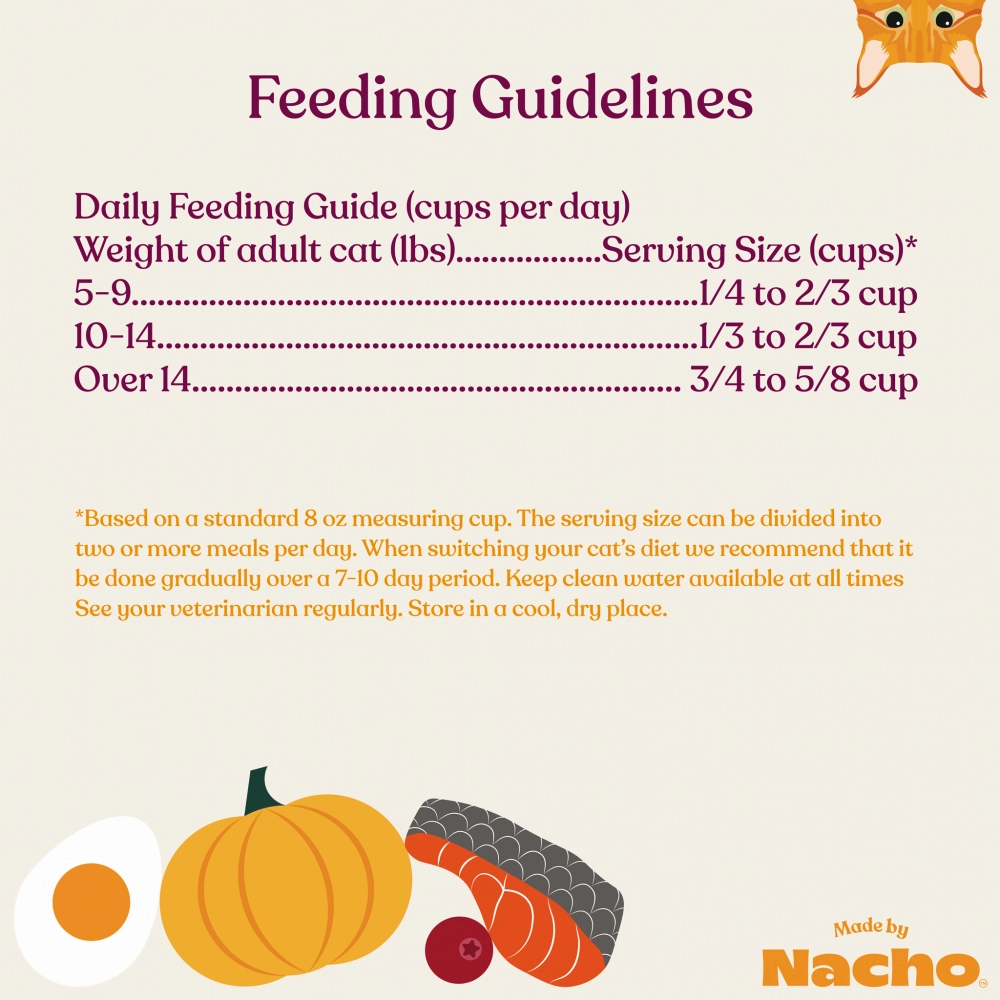 Made By Nacho Bone Broth Infused Sustainably Caught Salmon & Pumpkin Recipe