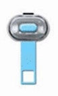 Max & Molly Ultra Bright LED Pet Light - Blue