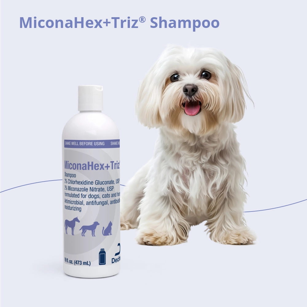 MiconaHex Triz Shampoo, 16 oz