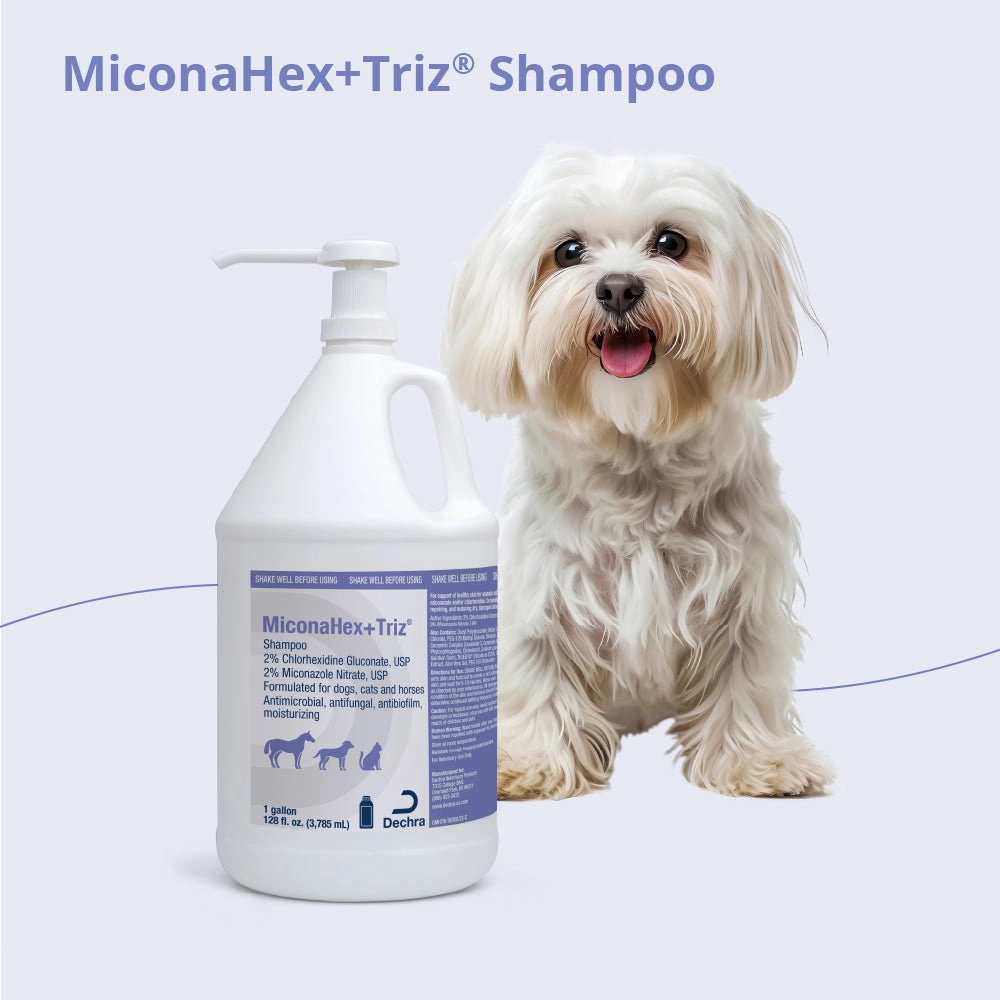MiconaHex Triz Shampoo, Gallon