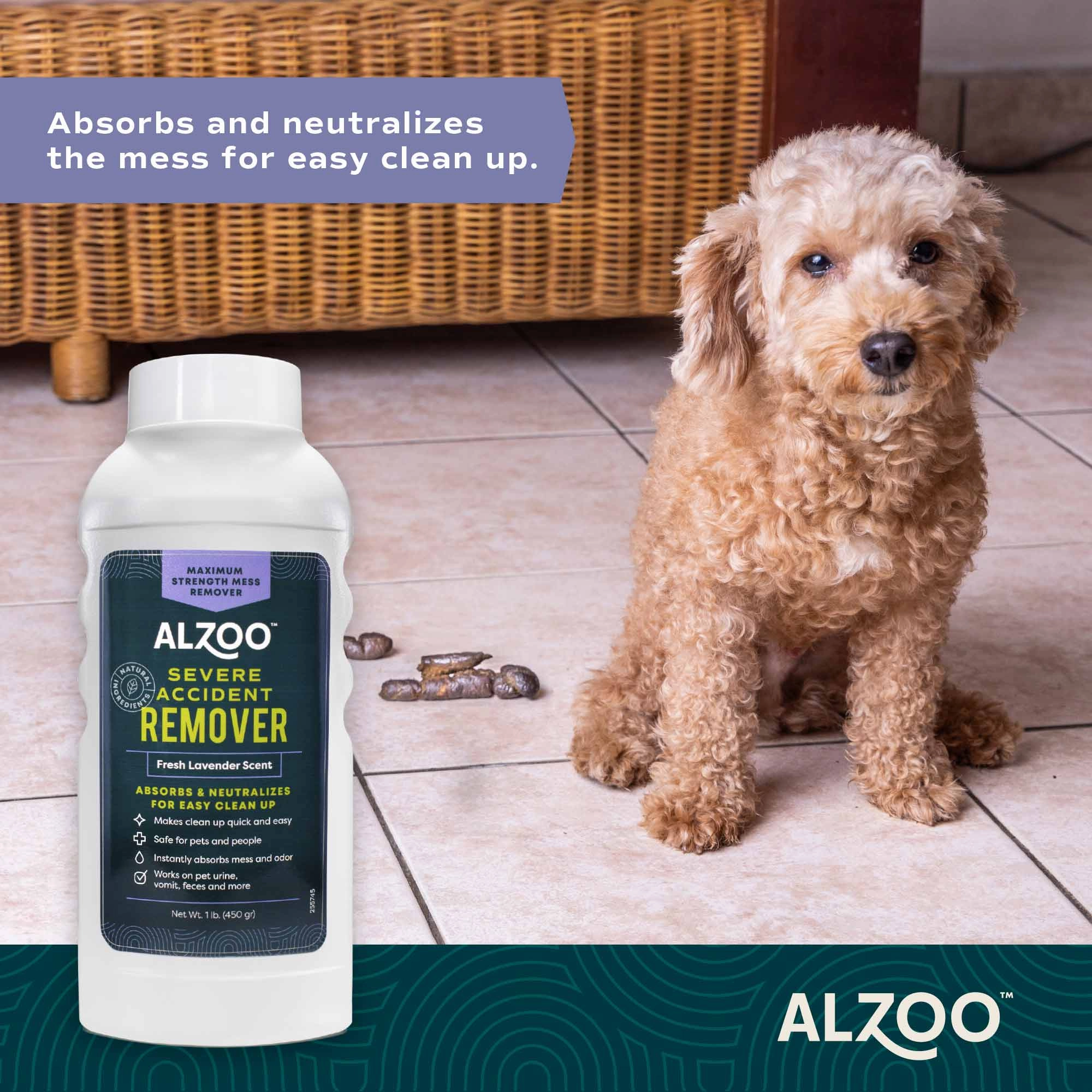 Mineral-Based Severe Pet Accident Remover & Absorbent Deodorizer, Lavender Scented, 15.2 oz
