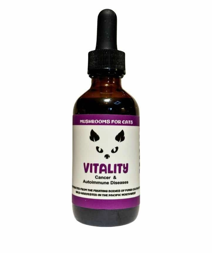 MycoCAT Vitality - Mushroom Extract & Adaptogen Tincture 2fl oz 60ml Dropper