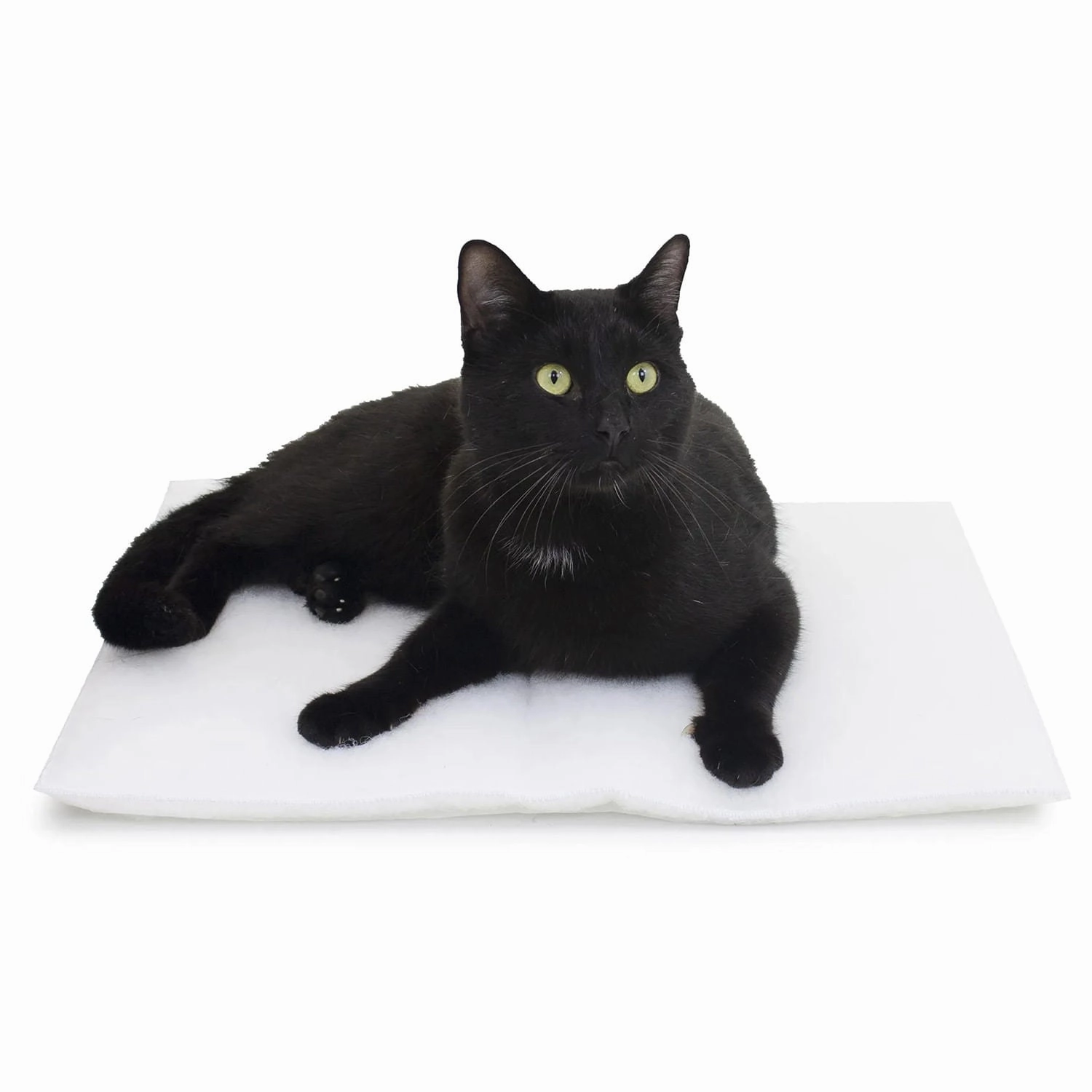Mysterious Purr Padd