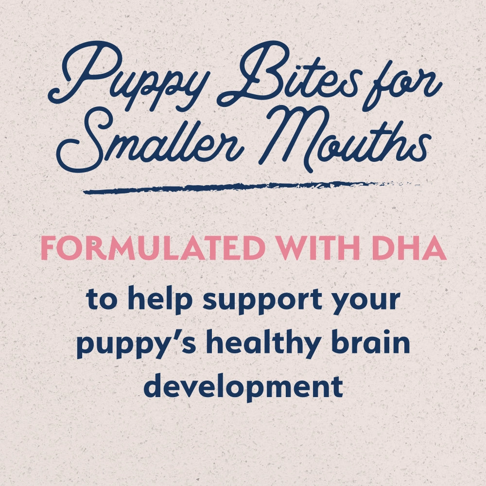 Natural Balance L.I.D. Limited Ingredient Diets Salmon & Brown Rice Puppy Formula Dry Dog Food