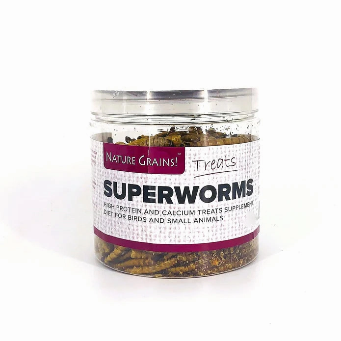 Nature Grains Treats Superworms 550ml