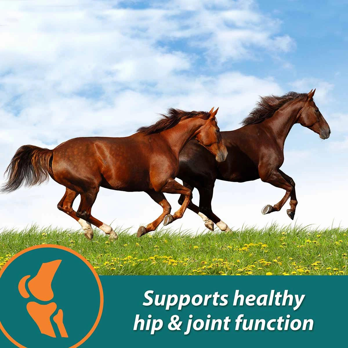 Next Level Joint Pellets for Horses, 1.87 lbs