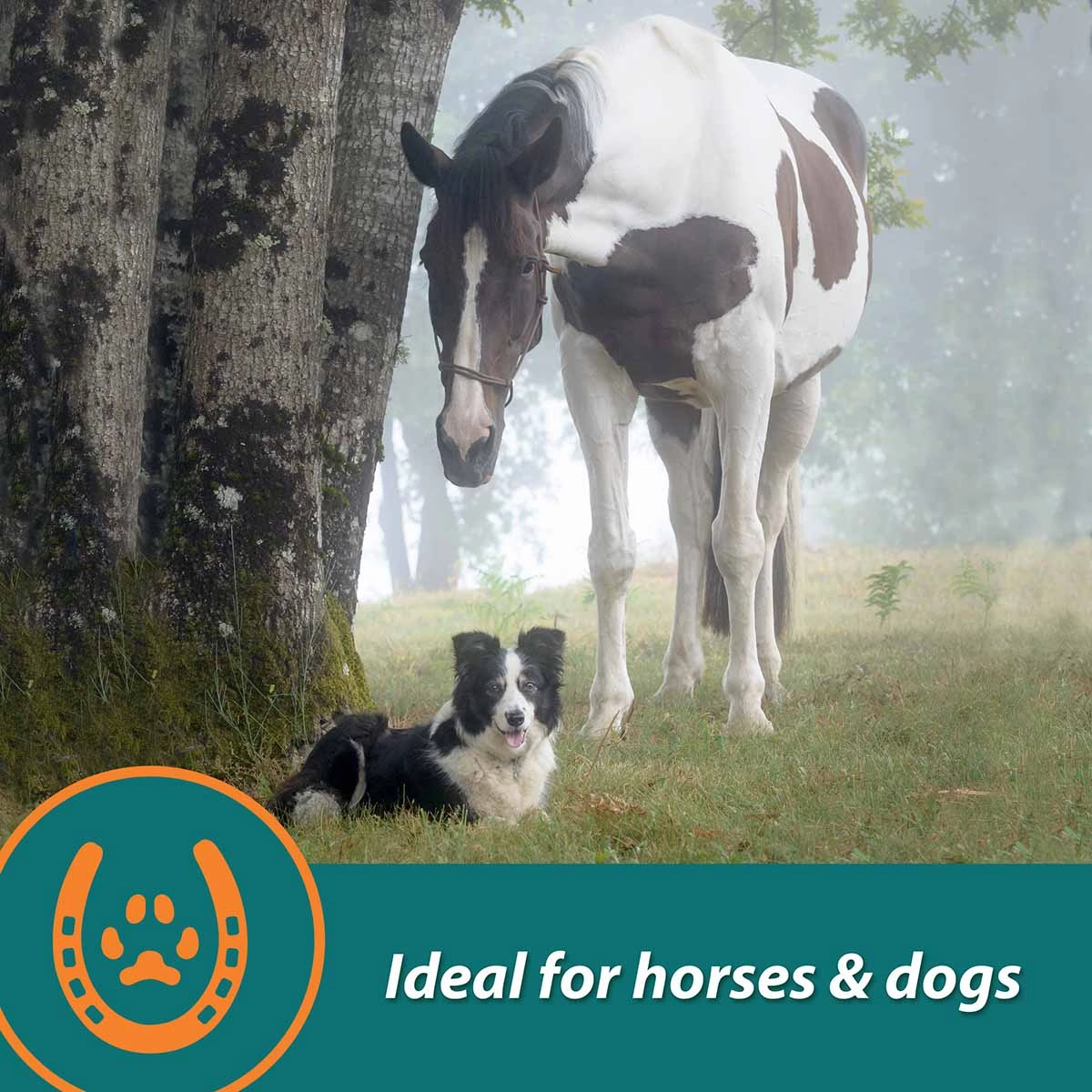 Next Level Joint Pellets for Horses, 1.87 lbs