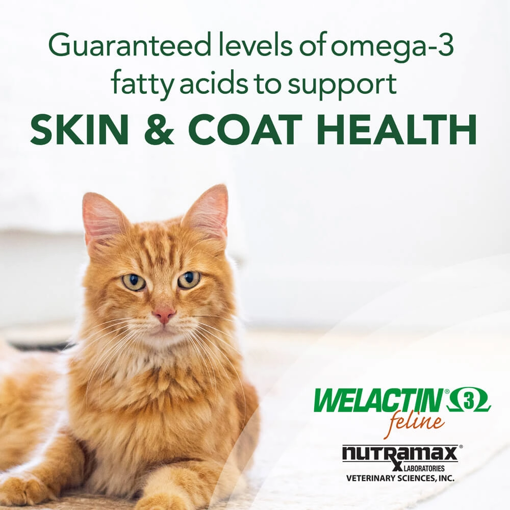 Nutramax Welactin Feline, 4 oz