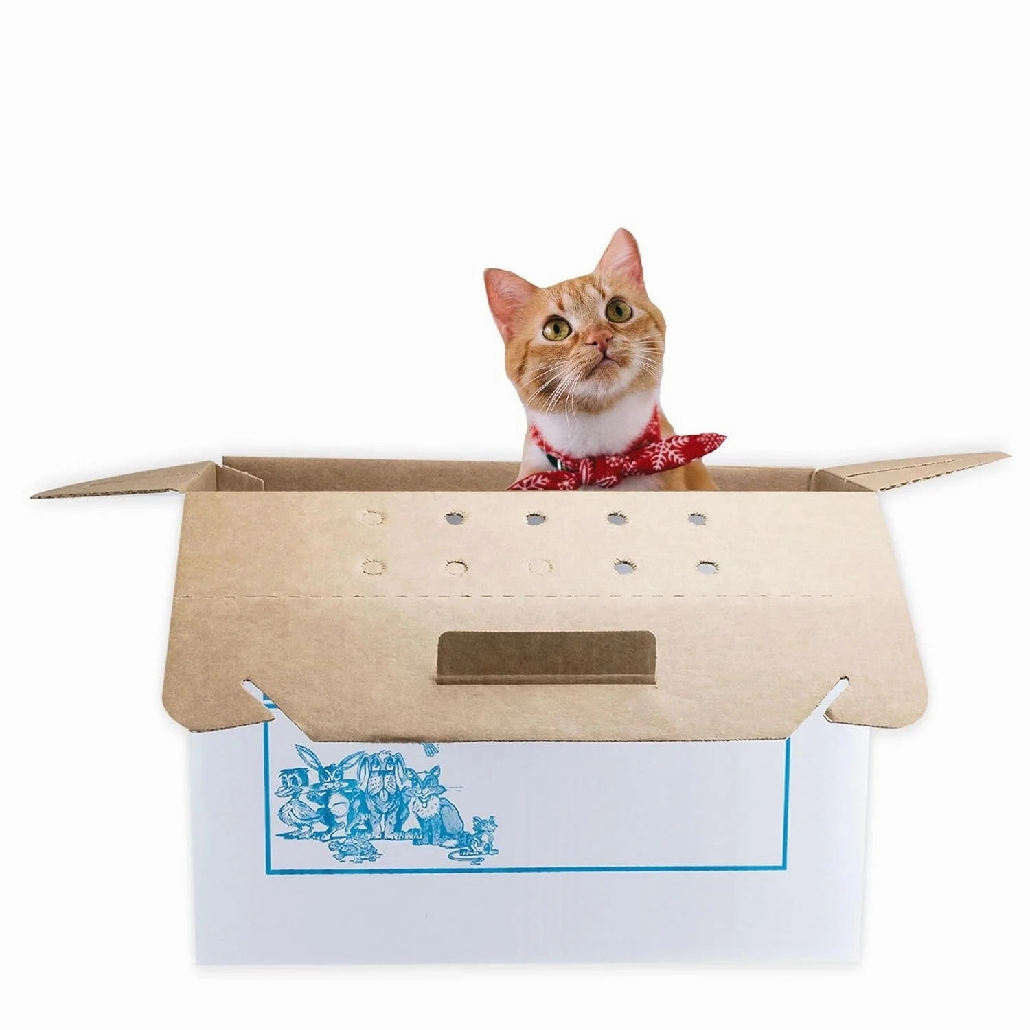 Oasis Disposable Pet Carrier