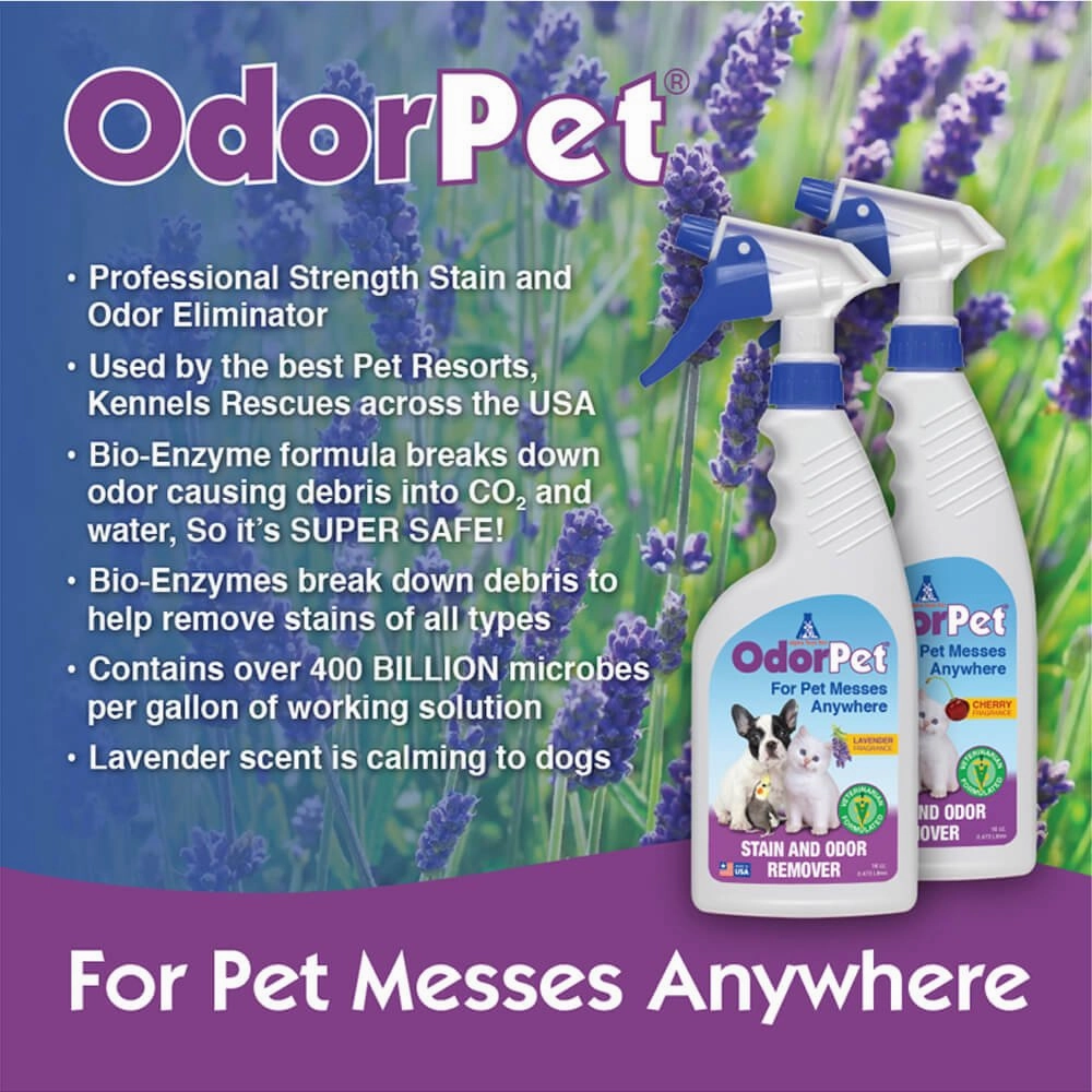 OdorPet Carpet and Floor Stain Remover with Sprayer, 16 oz