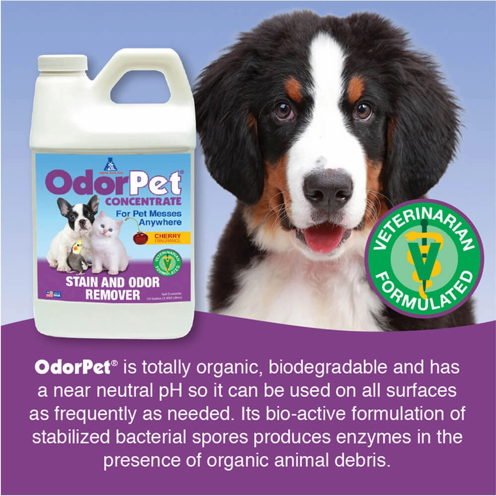 OdorPet Stain and Odor Remover Concentrate,  Gallon