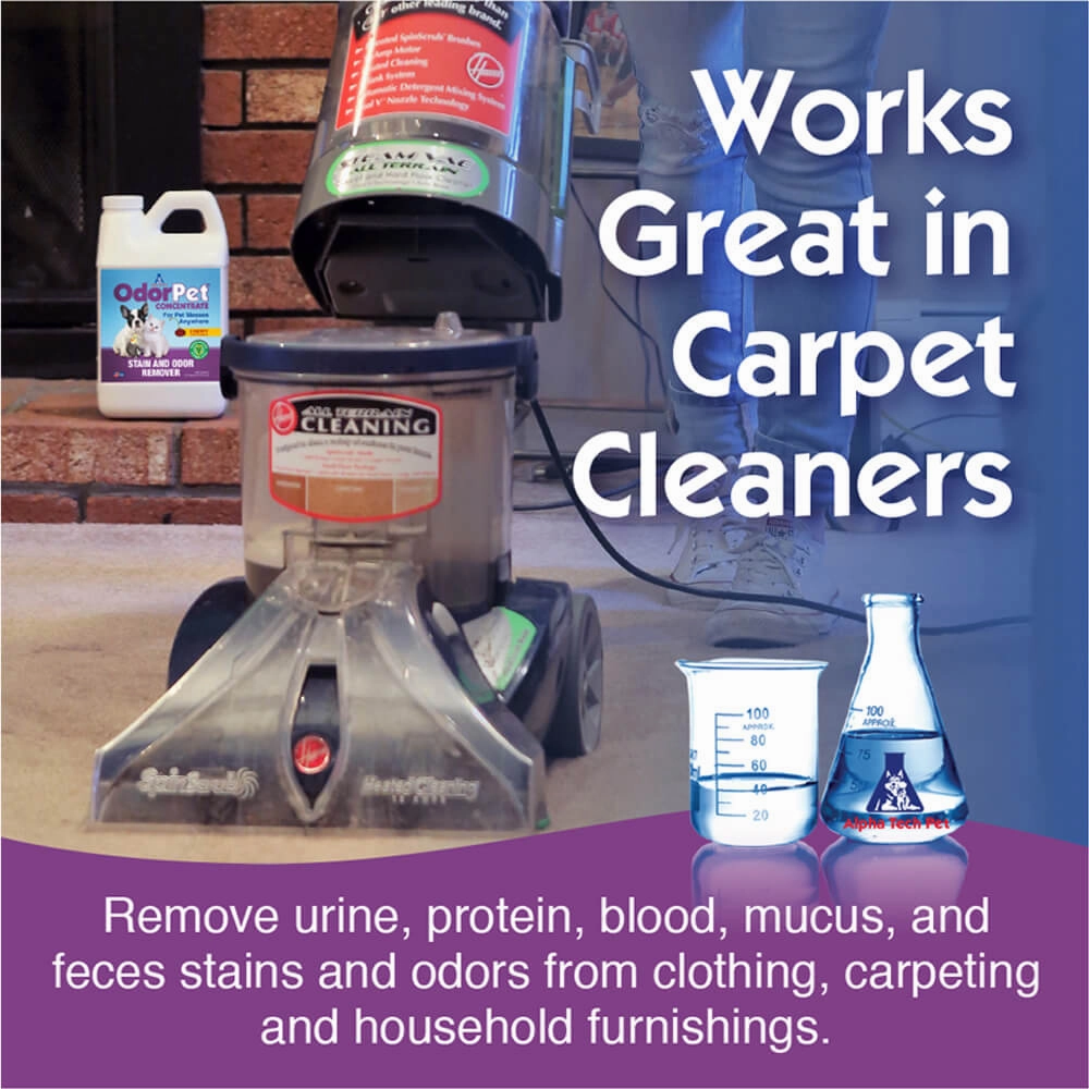 OdorPet Stain and Odor Remover Concentrate,  Gallon