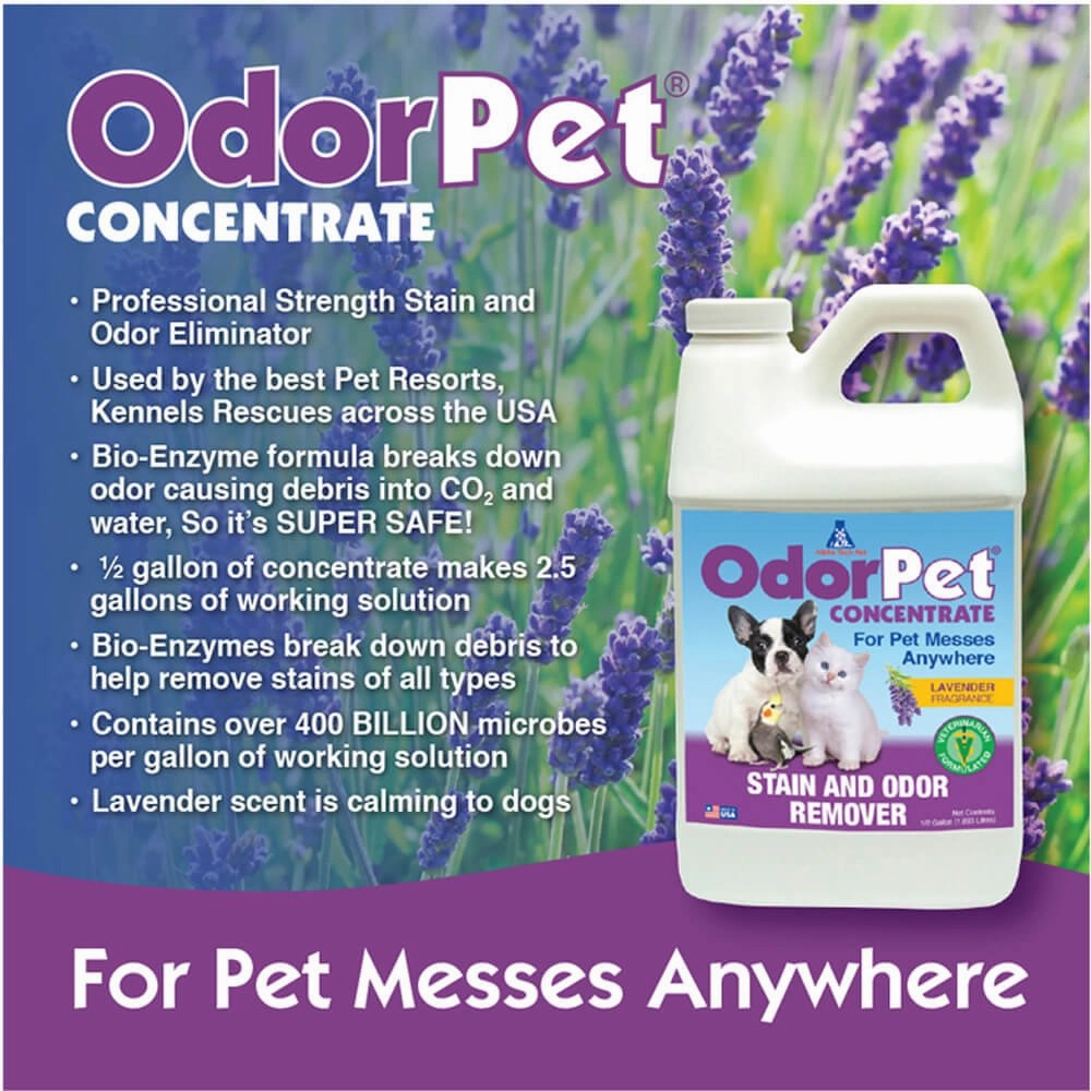 OdorPet Stain and Odor Remover Concentrate,  Gallon