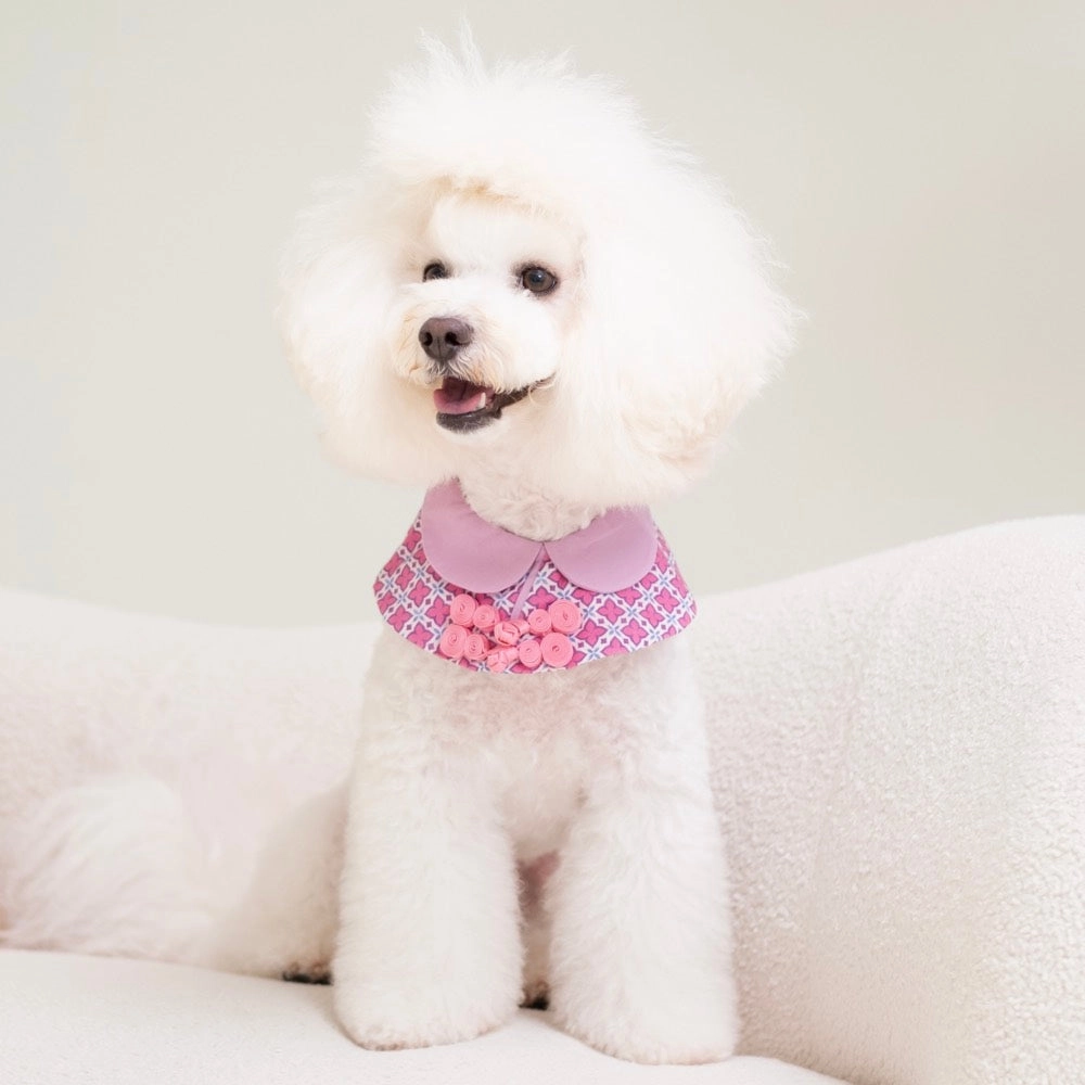 Ohpopdog Dog Cape (Amethyst)