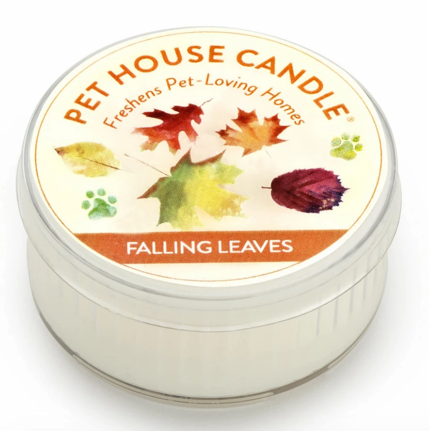 One Fur All Mini Candle Falling Leaves