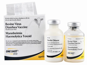 One Shot BVD