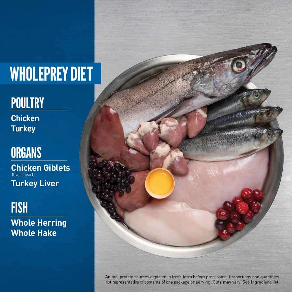 ORIJEN Original Grain-Free Dry Dog Food