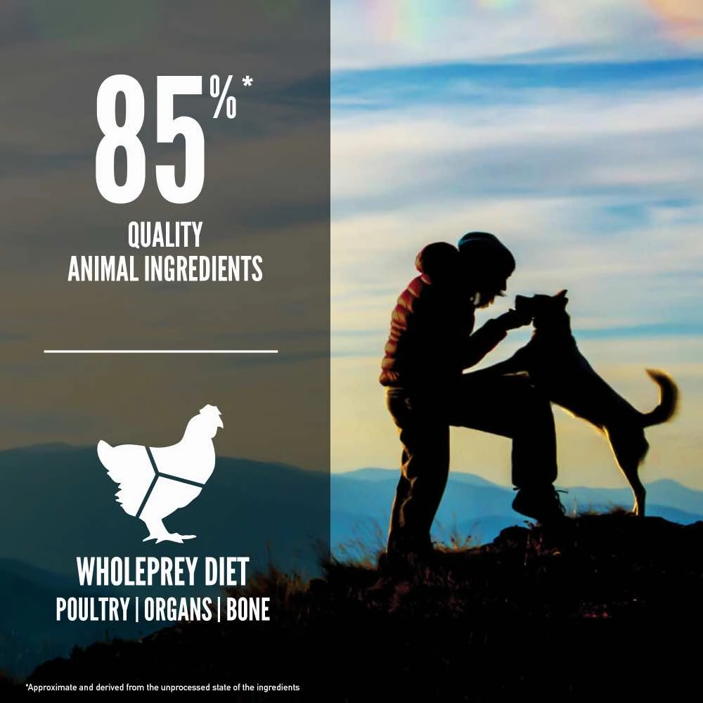 ORIJEN Original Grain-Free Dry Dog Food