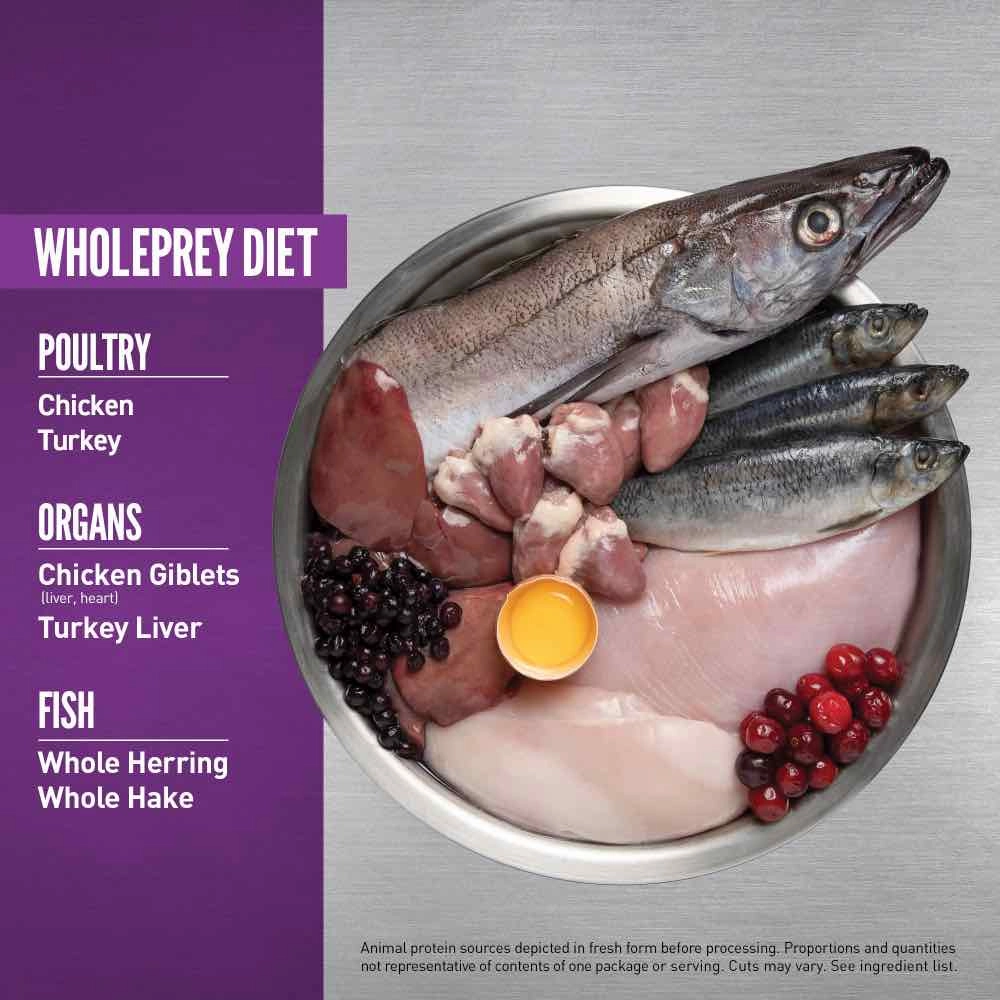ORIJEN Puppy Large Breed Grain-Free Dry Dog Food 11.4kg