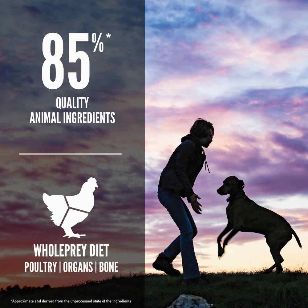 ORIJEN Puppy Large Breed Grain-Free Dry Dog Food 11.4kg