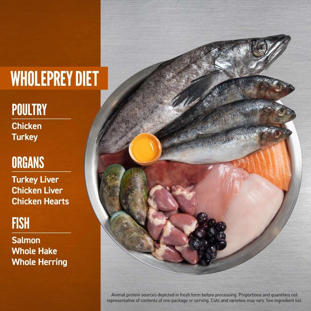 ORIJEN Puppy Small Breed Grain-Free Dry Dog Food