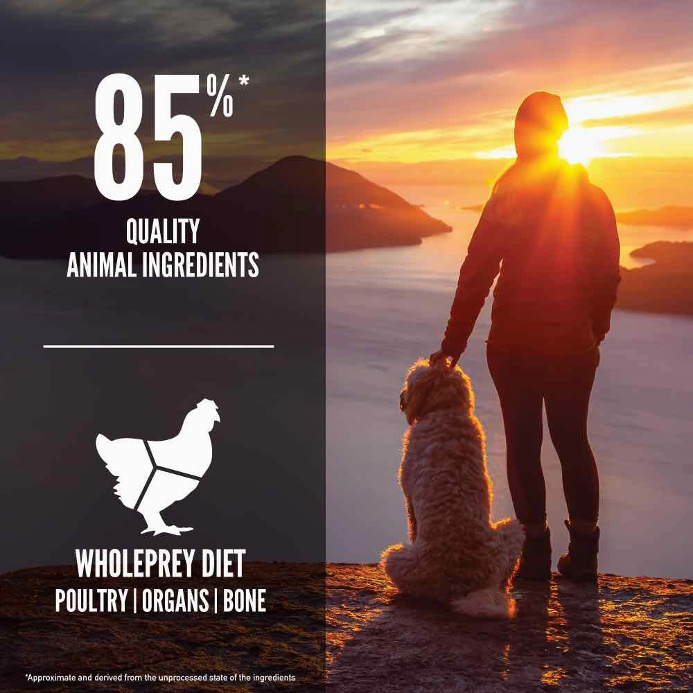 ORIJEN Senior Grain-Free Dry Dog Food