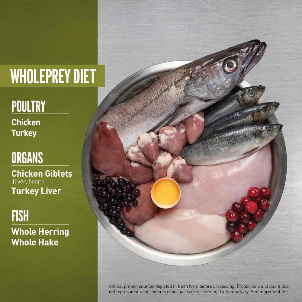 ORIJEN Senior Grain-Free Dry Dog Food