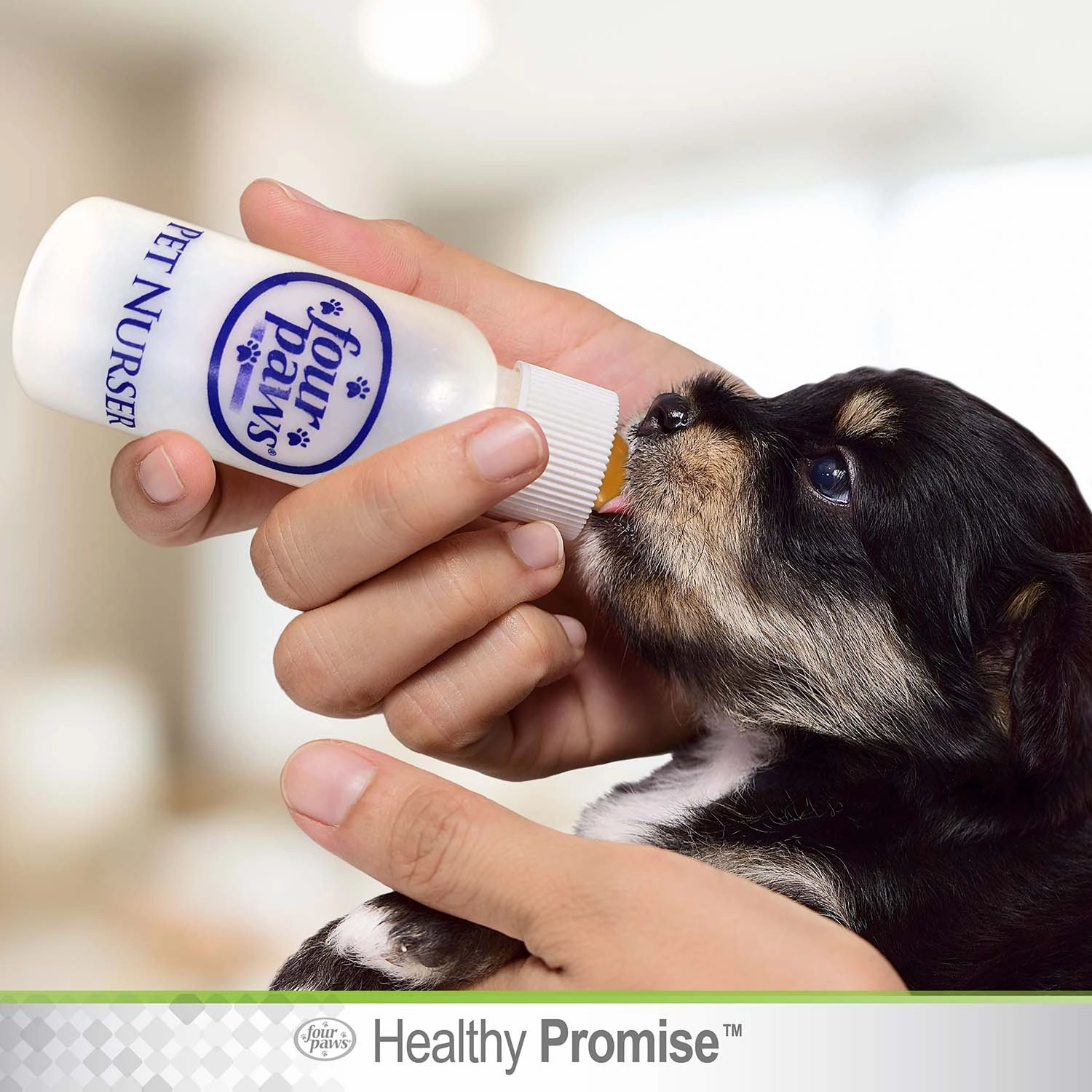 Pet Nursing Kit, Bottle and Brush, 2 oz