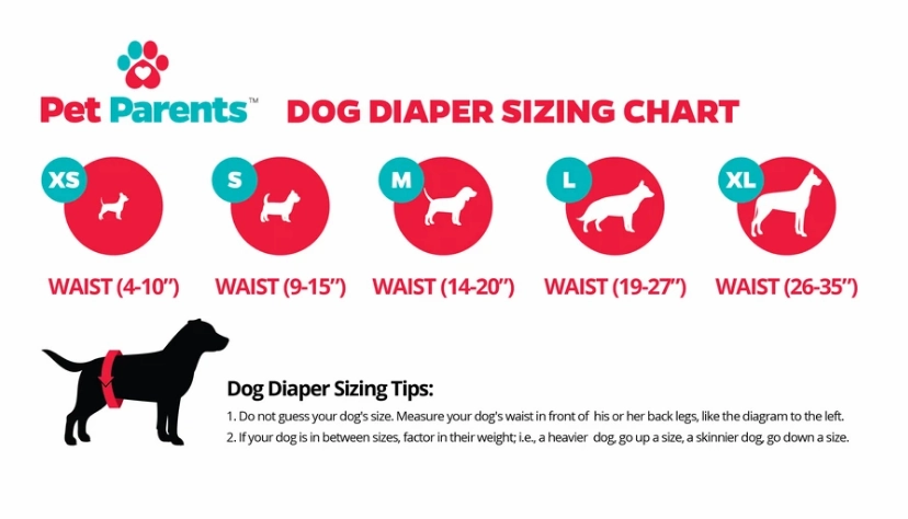 Pet Parents Washable Dog Diapers 3pk - Princess