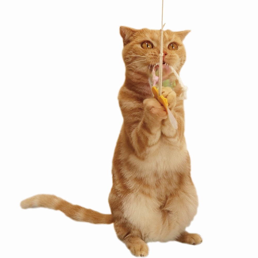 Petz Route Rustling With Paper String Cat Wand Toy (Butterfly)