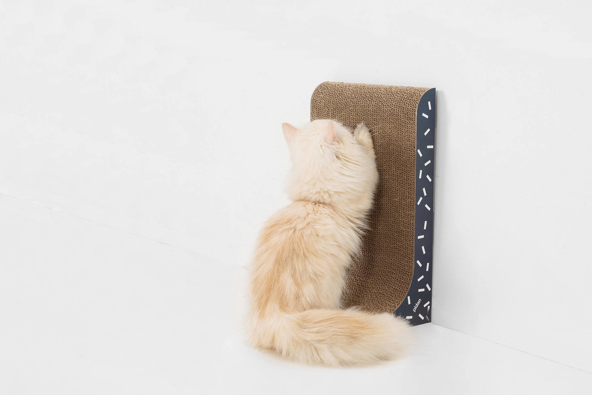 Pidan 2   1 Cat Scratcher