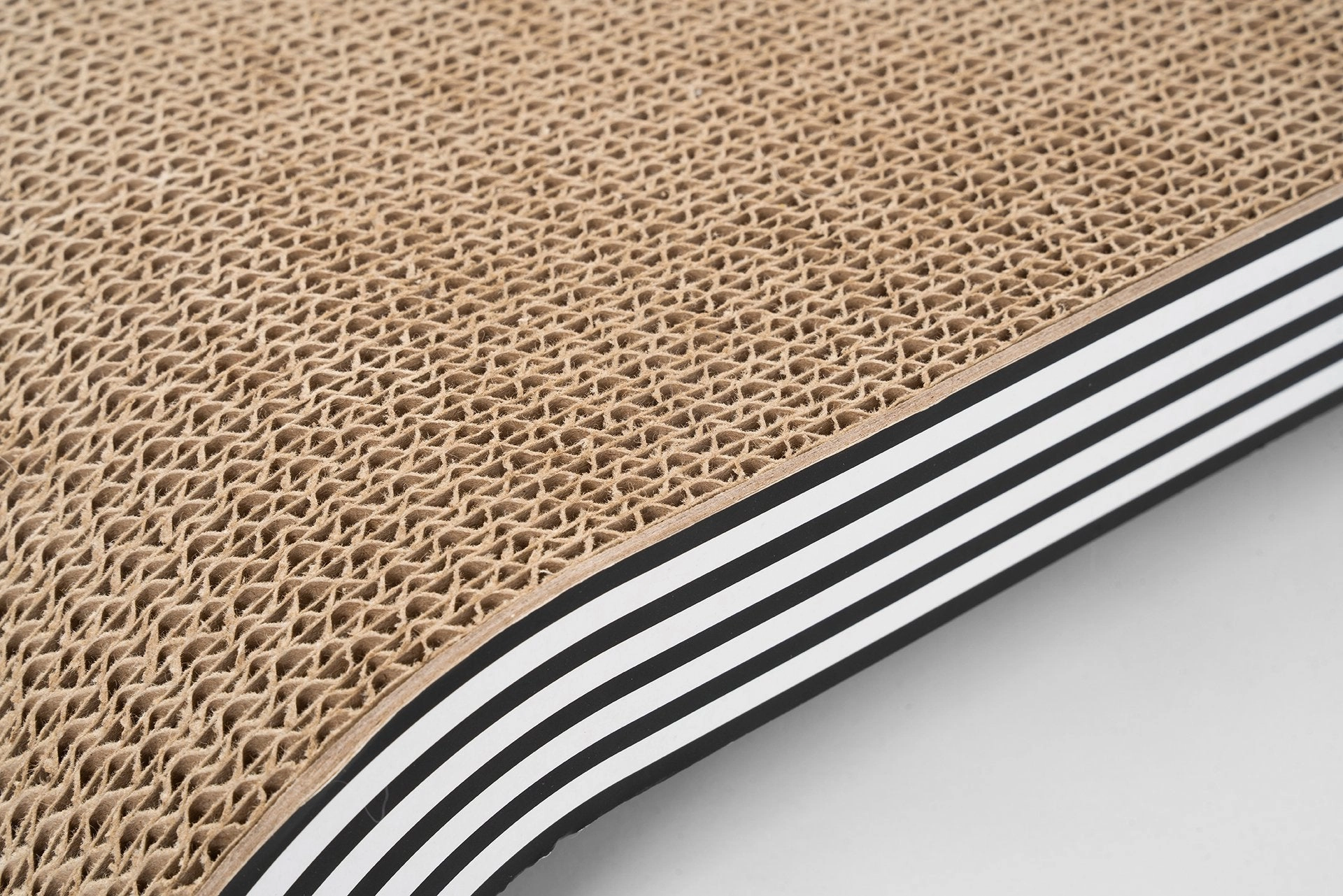 Pidan 2   1 Cat Scratcher
