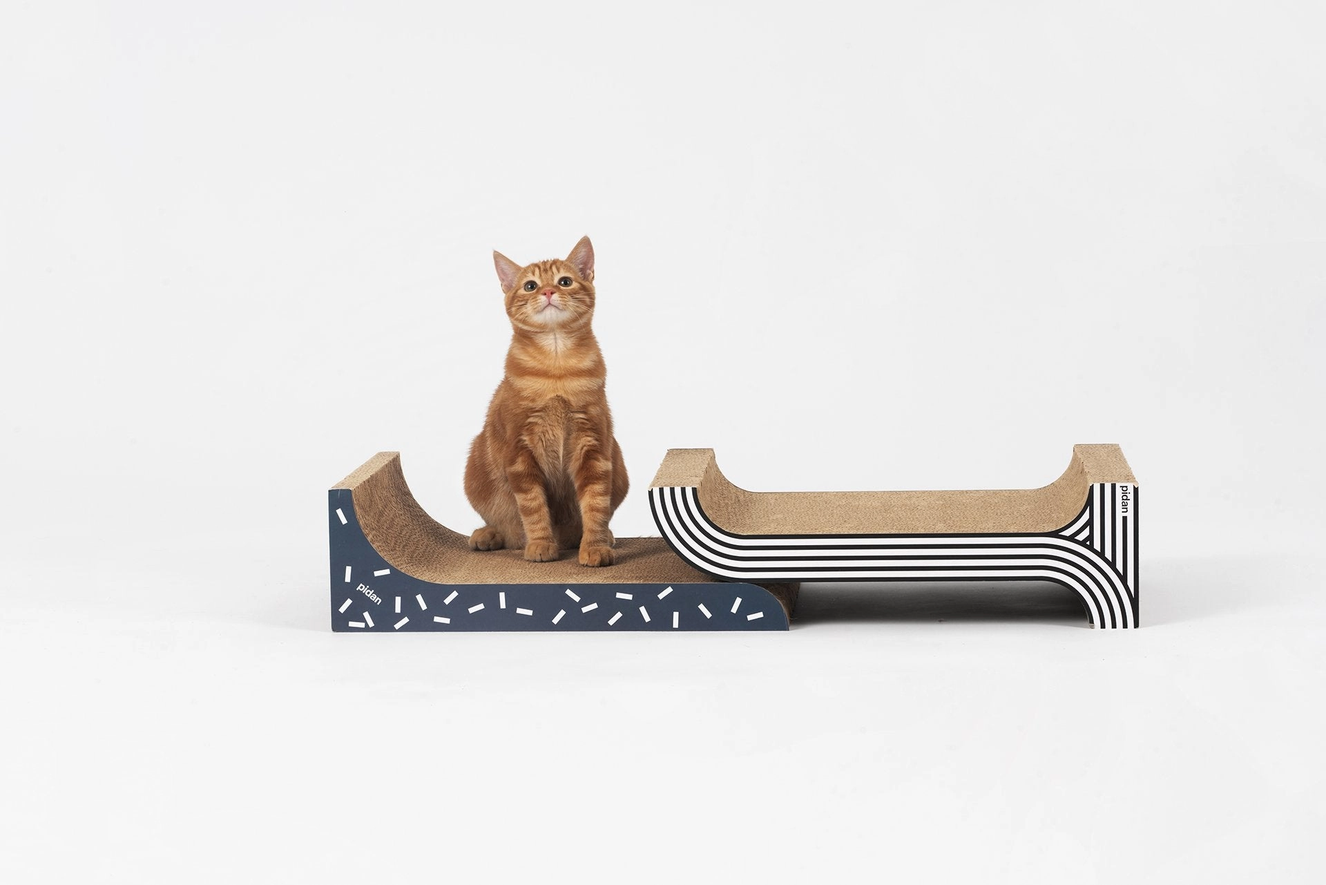 Pidan 2   1 Cat Scratcher