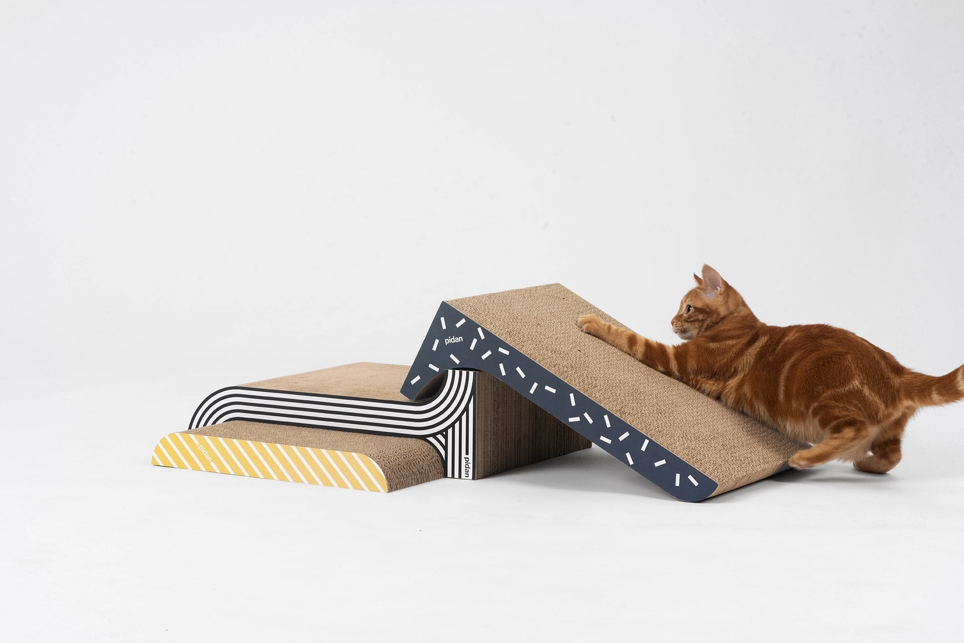 Pidan 2   1 Cat Scratcher