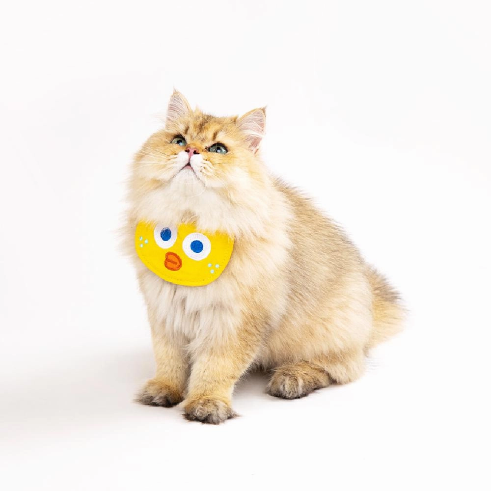 Pidan Chick Bib Cat Collar