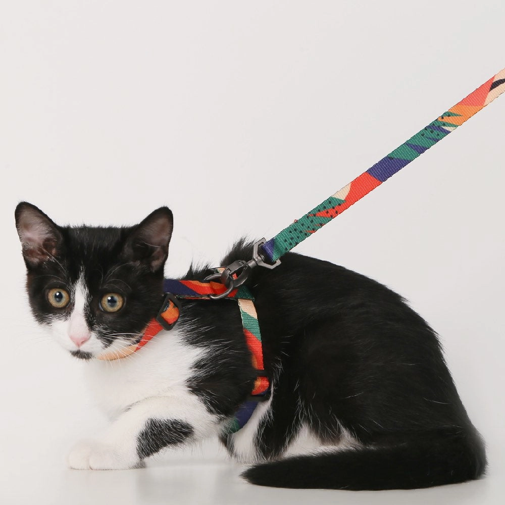 Pidan Harness & Leash Set For Cats (Abstract)