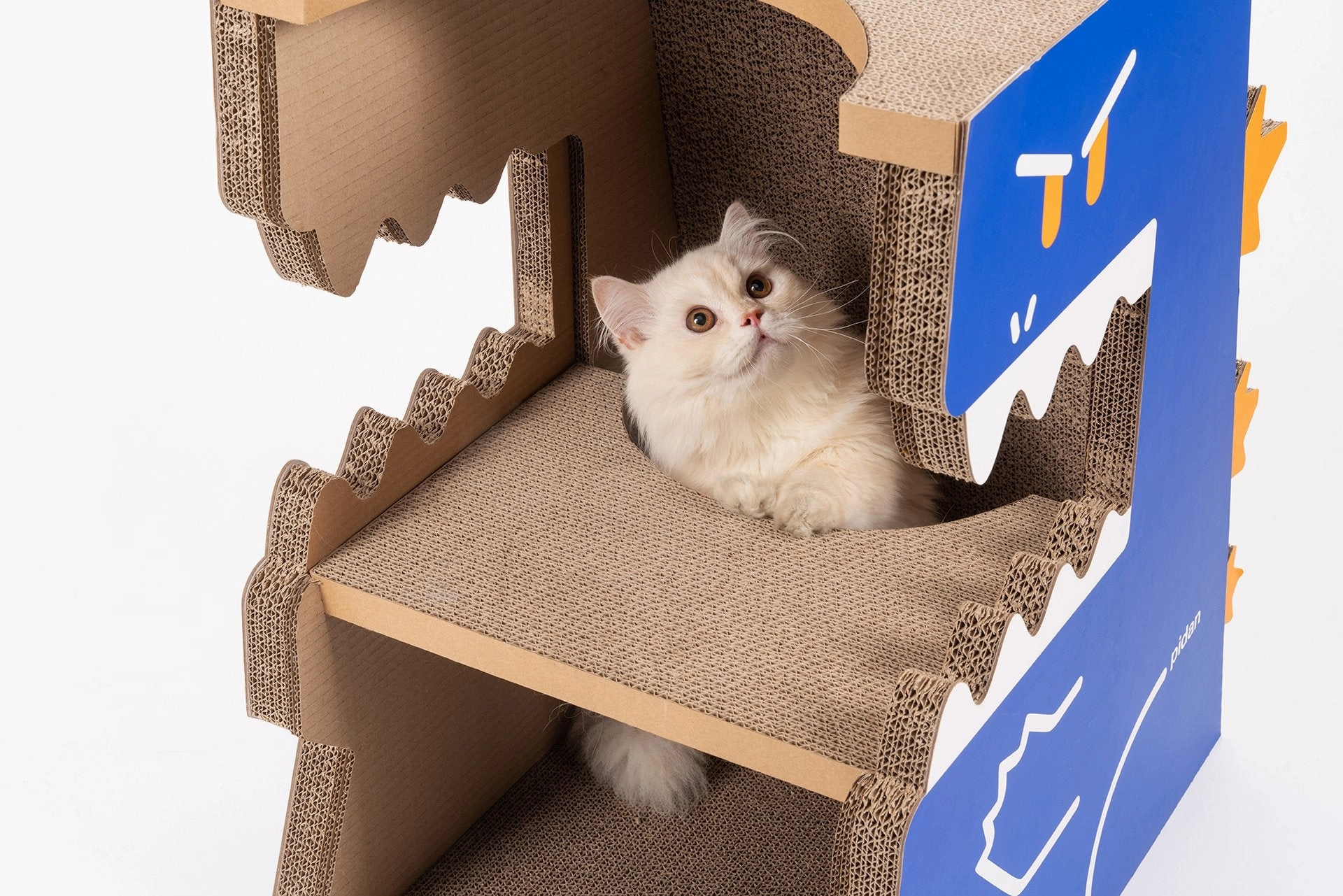 Pidan Monster Cat Scratcher