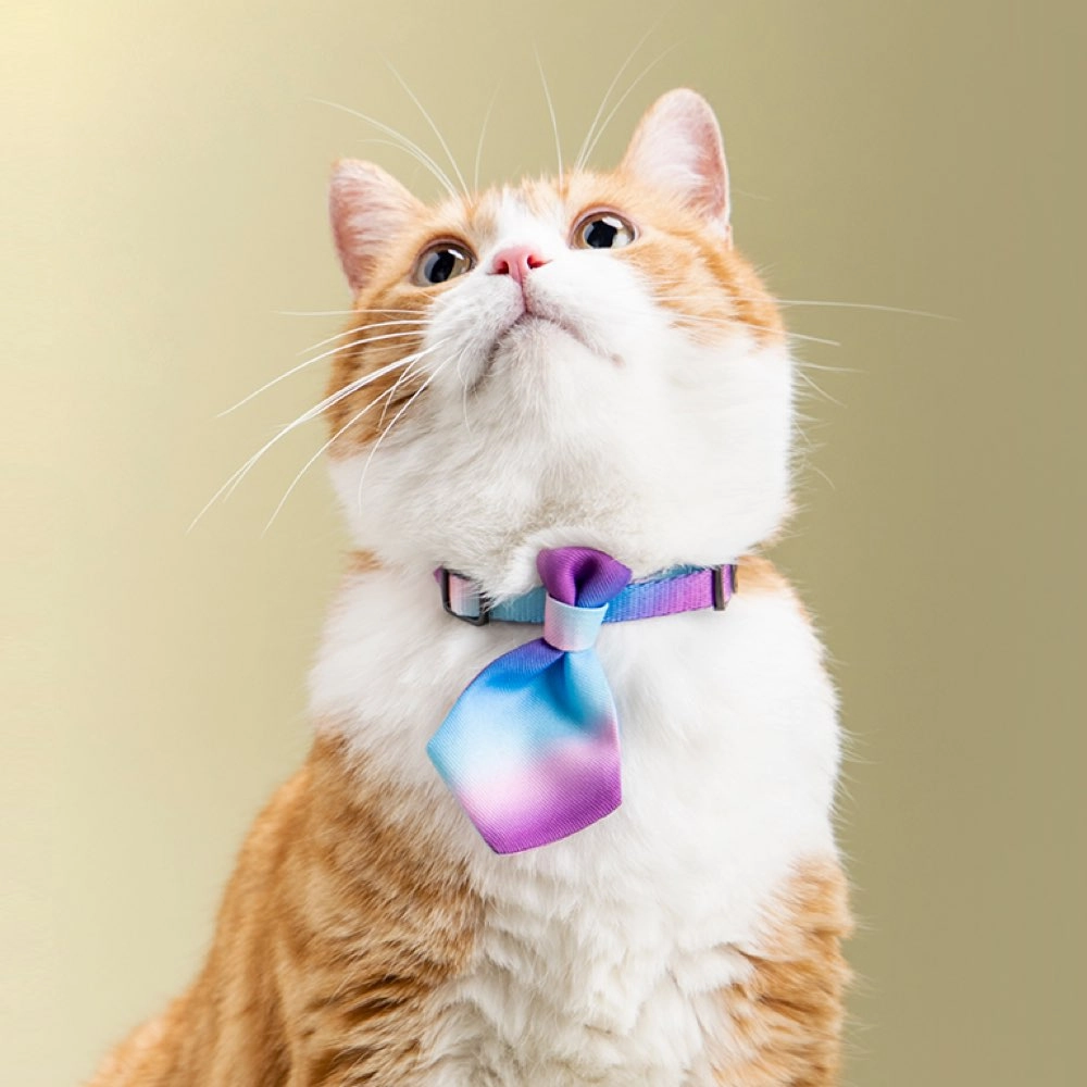 Pidan Necktie Cat Collar (Ombre)