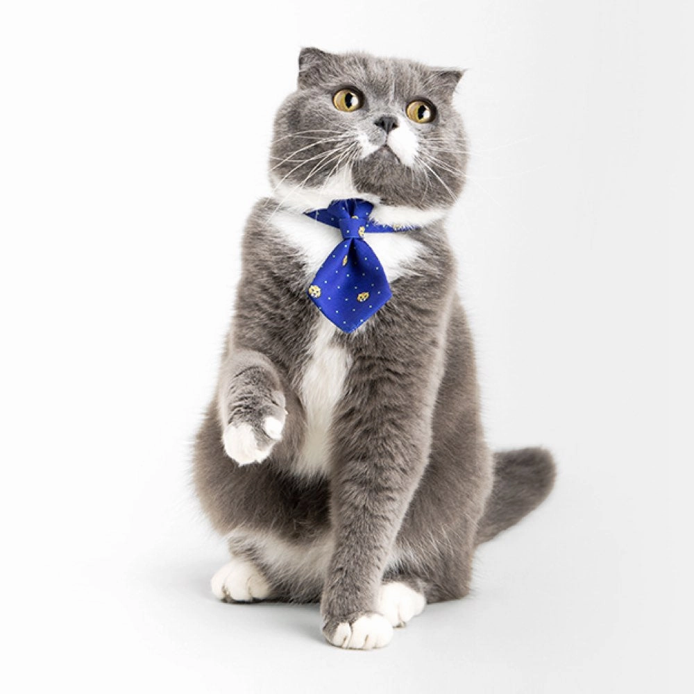 Pidan Necktie Cat Collar (Tiger)