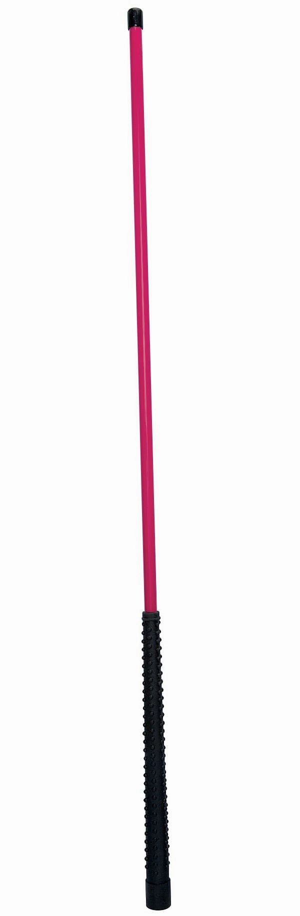 Pig Sticks 30" L