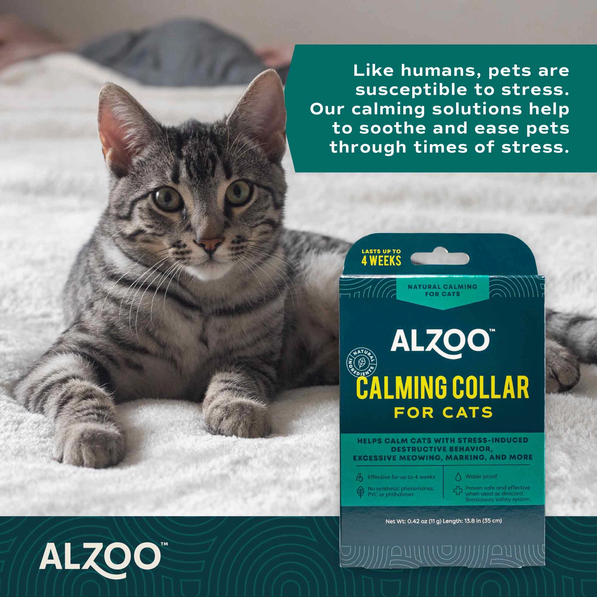 Plant-Based Natural Calming Collar for Cats