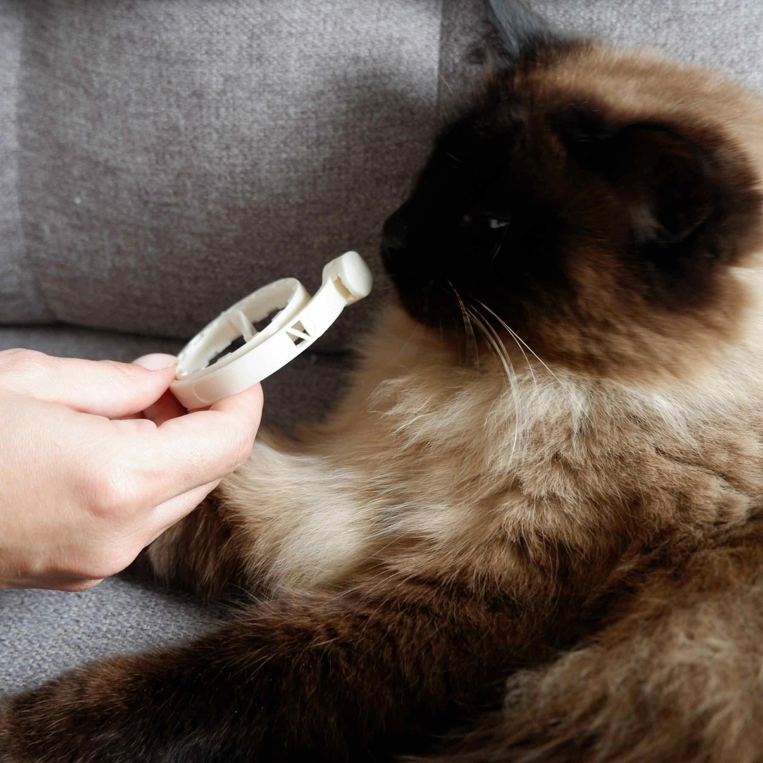 Plant-Based Natural Calming Collar for Cats