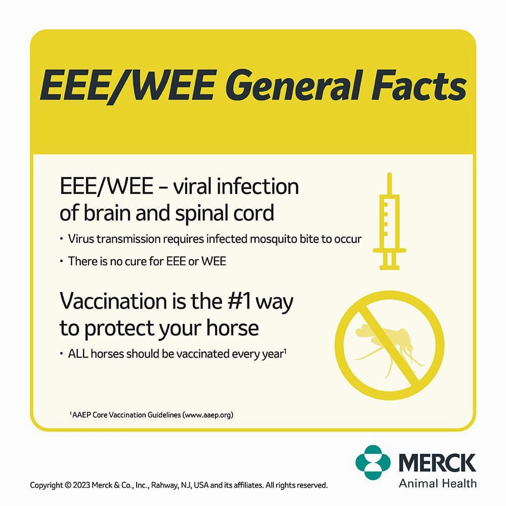 Prestige 3 Horse Vaccine