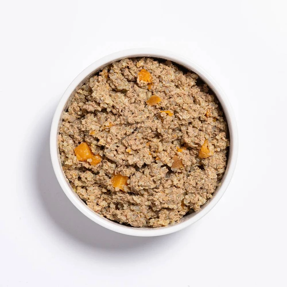 Prime100 SPD Slow Cooked Turkey & Flaxseed Wet Dog Food 354g