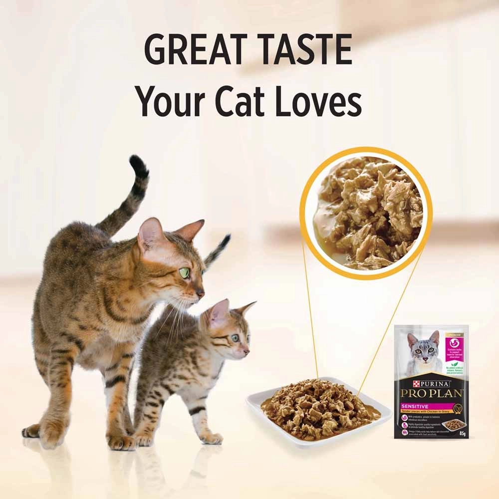 Pro Plan Sensitive Tender Chicken In Gravy Adult Pouch Cat Food 85g x 12